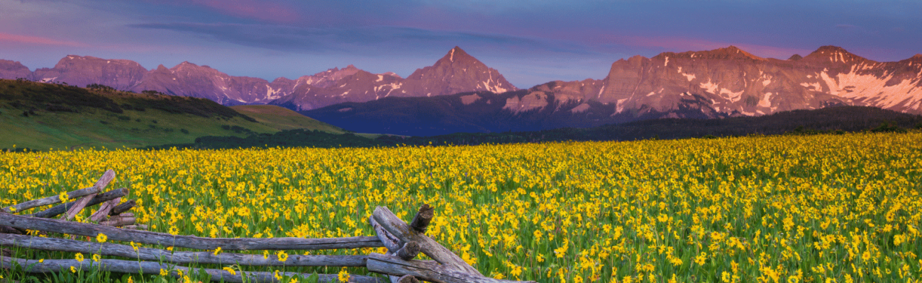 1% to the communities (11)