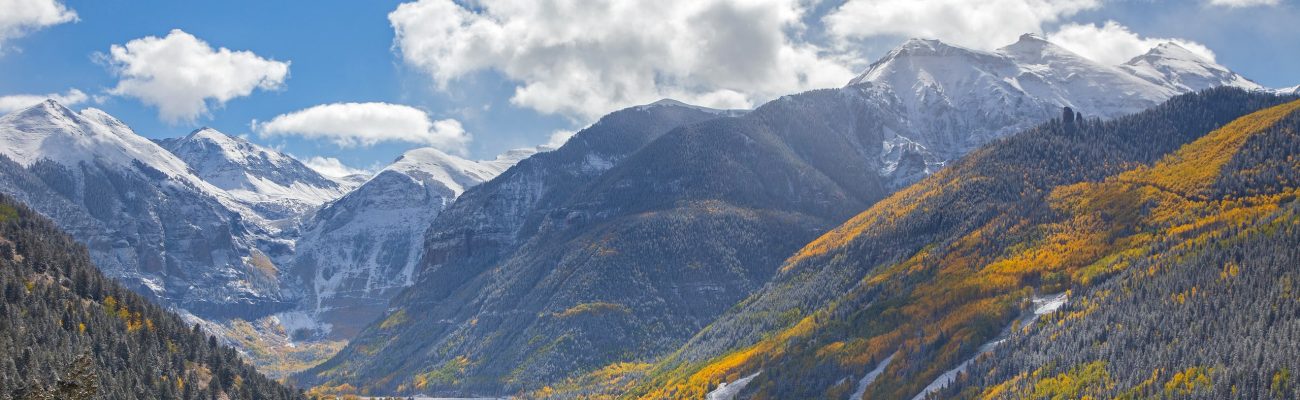 10. October aspen and snow (1)