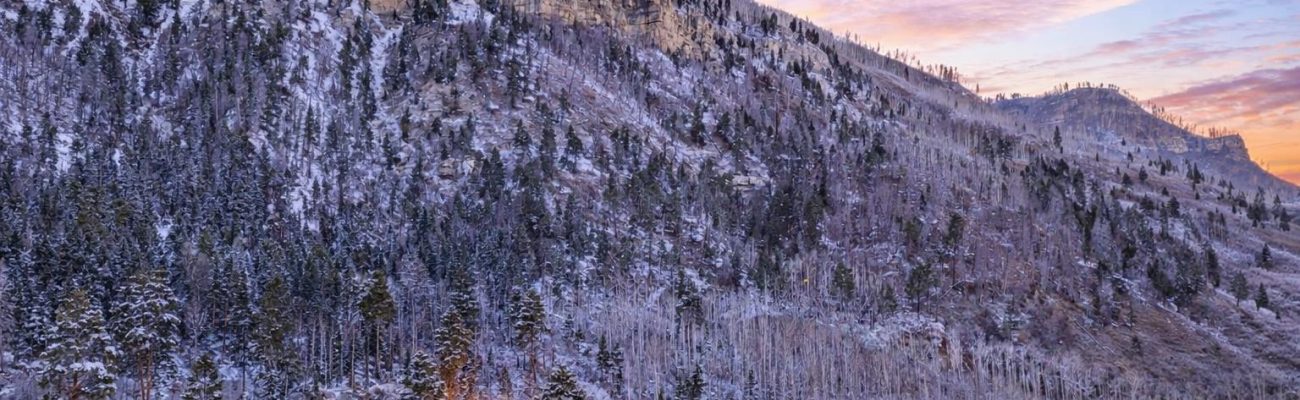 22685ad47057aee74d05afceb5ab1e4a