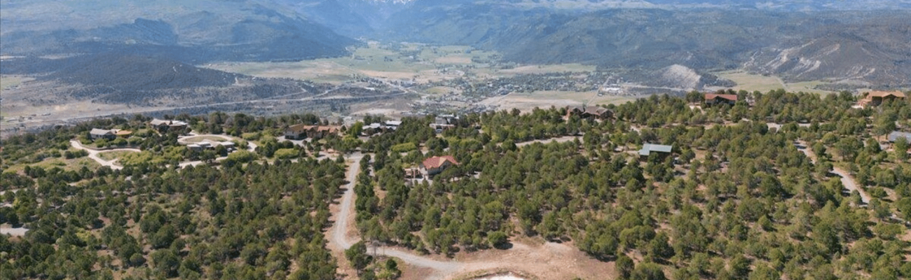 Pine Drive 23 Ridgway1